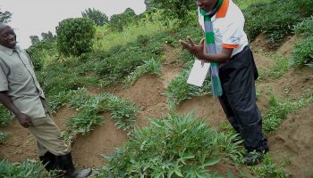030 Field visits to some of the project beneficiaries by CEDO Staff