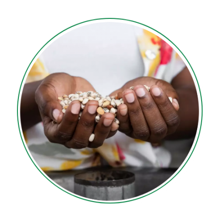 cedo_seeds_uganda_woman_holding_beans High-quality bean seeds ready for planting in Uganda cedo_seeds_uganda_woman_holding_beans