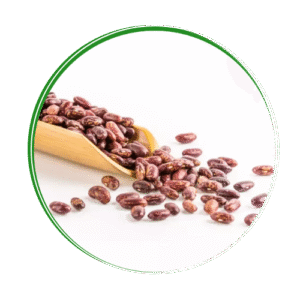 Community Enterprises Development Organization SEEDS beans Community Enterprises Development Organization SEEDS beans
