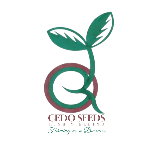 cedo_seeds_ugandas_leading_seeds_suppliers_cedo_farmers (7) cedo_seeds_ugandas_leading_seeds_suppliers_cedo_farmers (7)