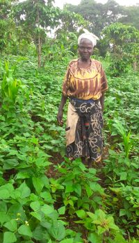 Improving livelihoods of smallholder farmers through sustainable agriculture. Improving livelihoods of smallholder farmers through sustainable agriculture.