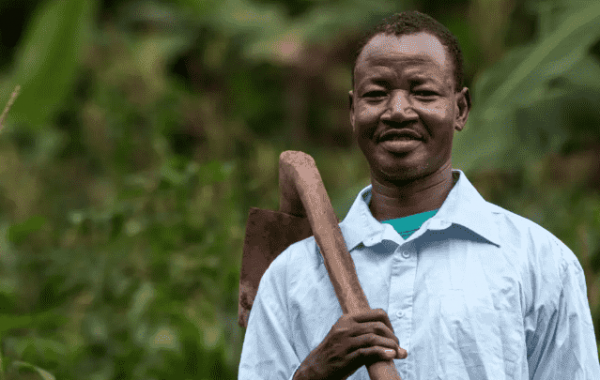 cedo_ugandas_leading_seeds_suppliers_cedo_farmers (8) cedo_ugandas_leading_seeds_suppliers_cedo_farmers (8)