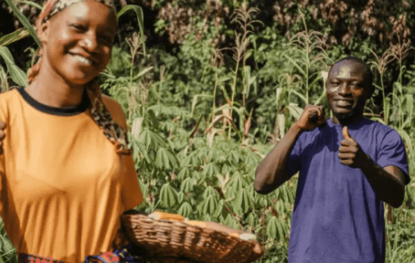 cedo_ugandas_leading_seeds_suppliers_cedo_farmers (7) cedo_ugandas_leading_seeds_suppliers_cedo_farmers (7)