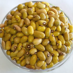 best_quality_Narobean_3_aka_yellow_beans_seeds_supplied_by_cedo_seeds best_quality_Narobean_3_aka_yellow_beans_seeds_supplied_by_cedo_seeds