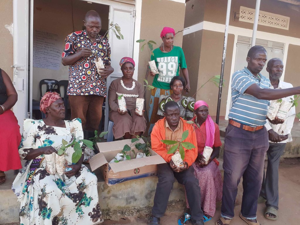CEDO empowers women through trainings and provision of high yielding and disease tolerant bean seedlings