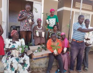 CEDO empowers women through trainings and provision of high yielding and disease tolerant bean seedlings