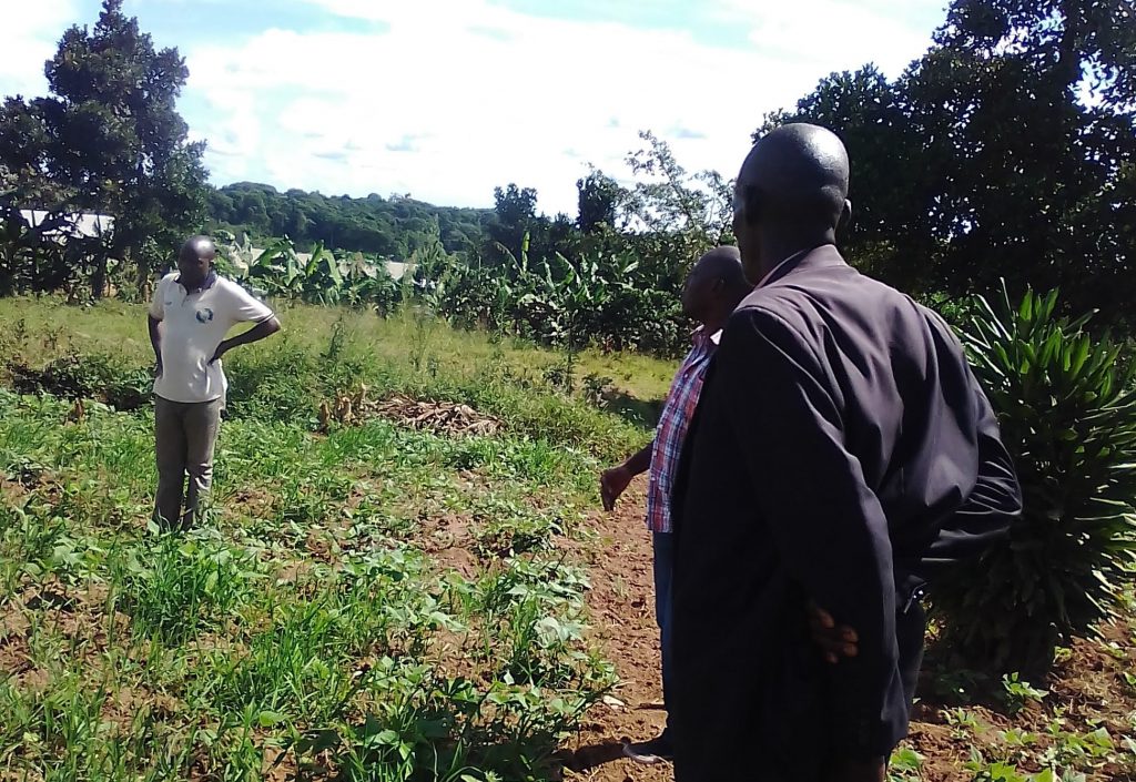Some of the comfortable CEDO Seeds retiree beans farmers at their farms